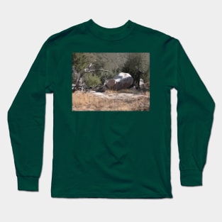 Southwest Branch and Rock No. 1 Long Sleeve T-Shirt